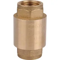 Клапан обратный пружинный муфтовый 1/2' с металлическим седлом STOUT RG008T8CL6A48R Москва