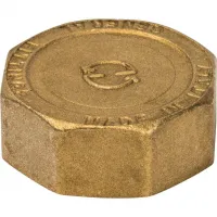 Заглушка ВР 1'1/4 STOUT RG008Q0QTJ0L5G Москва