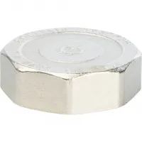 Заглушка ВР никелированная 2' STOUT RG008Q0R2OOPNC