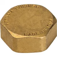 Заглушка ВР 1' STOUT RG008Q0QTIUK5E Москва
