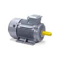 Электродвигатель ESQ PR 160 S4 GST-Б1-S12-IE2 15/1500 IM1001 Москва