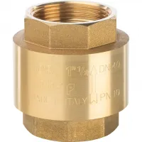 Клапан обратный пружинный муфтовый 1 1/2' с пластиковым седлом STOUT RG008Q0JTDG5Q4 Москва