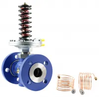 Регулятор давления LDM серии RD 122 V RD122V4401-32F 220-1000 кПа Москва