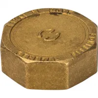 Заглушка ВР 1'1/2 никелированная STOUT RG008Q0QTJ2FMA Москва