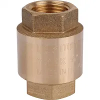 Клапан обратный пружинный муфтовый 1/2' с пластиковым седлом STOUT RG008T8CKERRJ5 Москва
