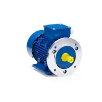 Электродвигатель ESQ 90 LB4-SDN-ET2 2,2/1500 IMB35 Москва