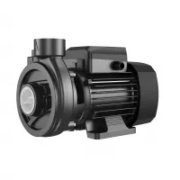 Насос поверхностный нормальновсасывающий центробежный 2DK-20 Pumpman 00000001064