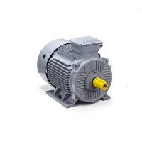 Электродвигатель ESQ PR 315 S4 GST-Б1-S32-IE2 160/1500 IM1001 Москва
