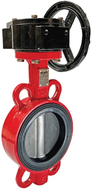 Дисковый поворотный затвор с редуктором REON тип RSV79 DN 500  (диск из нерж. стали AISI316 ) Москва