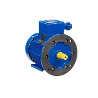 Электродвигатель АИМУ 100 L4 У1, 380В, 1ExdIIBT4 Gb, 4/1500 IM2081 Москва
