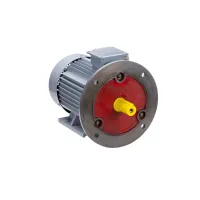 Электродвигатель ESQ PR 100 L4 GST-Б1-S12-IE2 4/1500 IM2081 Москва