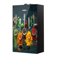 Водонагреватель газовый GWH 10 Fiery Glass Curry Ballu НС-1584732 Москва