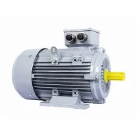Электродвигатель ESQ PR 160 L4-SDN-Б1-S12-IE3 15/1500 IMB3 Москва