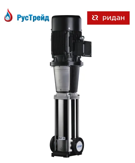 cnp_cdlf.jpg