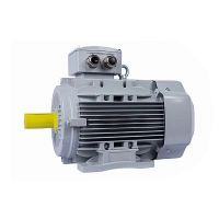 Электродвигатель ESQ PR 100 LA2-SDN-Б1-S12-IE3 3/3000 IMB3 Москва